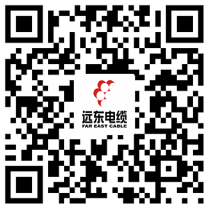 遠東電纜有限公司